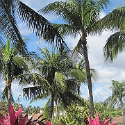 Picture 203